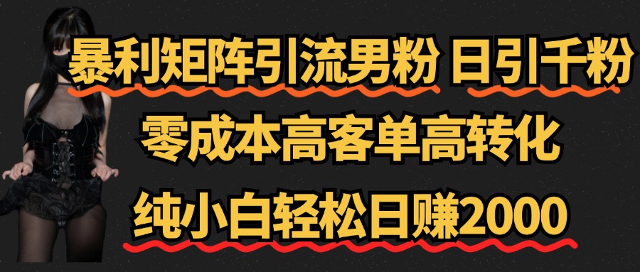 暴利矩阵引流男粉（日引千粉），零成本高客单高转化，纯小白轻松日赚2000+-飞鱼网创