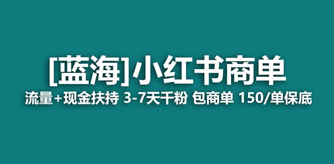 2023蓝海项目【小红书商单】流量+现金扶持，快速千粉，长期稳定，最强蓝海-飞鱼网创