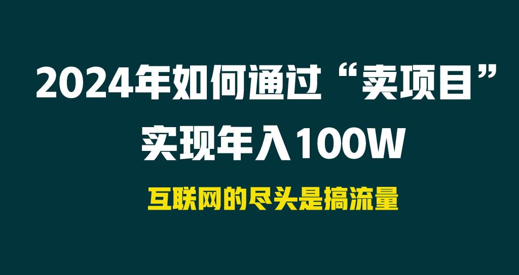 2024年如何通过“卖项目”实现年入100W-飞鱼网创