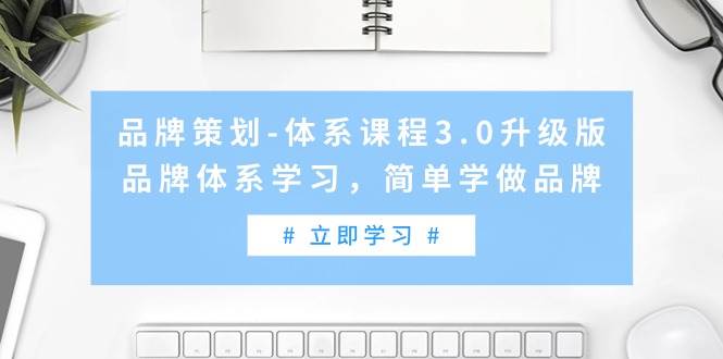 品牌策划-体系课程3.0升级版，品牌体系学习，简单学做品牌（高清无水印）-飞鱼网创