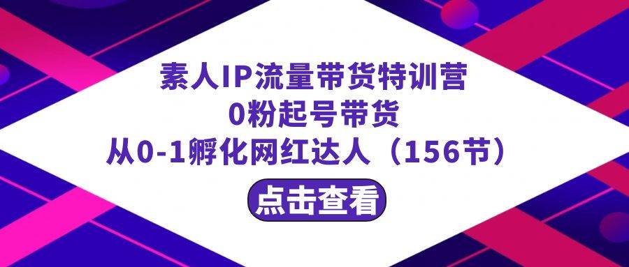 繁星·计划素人IP流量带货特训营：0粉起号带货 从0-1孵化网红达人（156节）-飞鱼网创