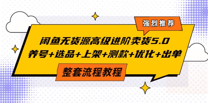 闲鱼无货源高级进阶卖货5.0，养号+选品+上架+测款+优化+出单整套流程教程-飞鱼网创