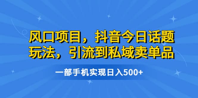 风口项目，抖音今日话题玩法，引流到私域卖单品，一部手机实现日入500+-飞鱼网创