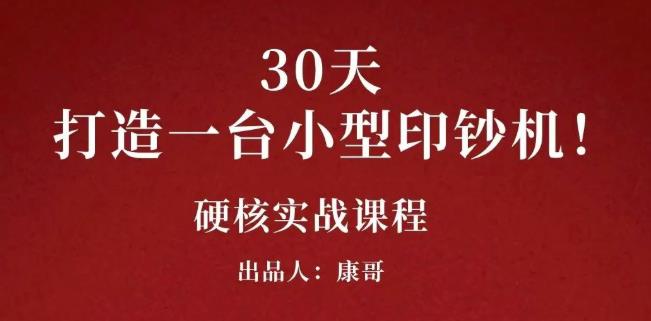 康哥30天打造一台小型印钞机：躺赚30万的项目完整复盘（视频教程）-飞鱼网创