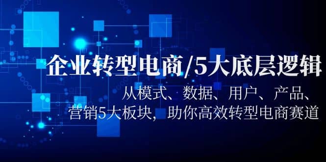 企业转型电商/5大底层逻辑，从模式 数据 用户 产品 营销5大板块，高效转型-飞鱼网创