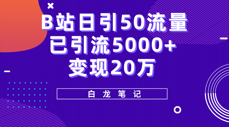 B站日引50+流量，实战已引流5000+变现20万，超级实操课程-飞鱼网创