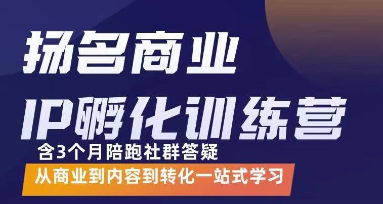 杨名商业IP孵化训练营，从商业到内容到转化一站式学 价值5980元-飞鱼网创