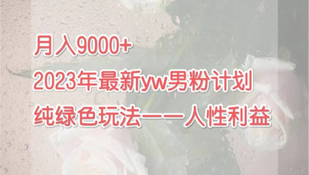 月入9000+2023年9月最新yw男粉计划绿色玩法——人性之利益-飞鱼网创