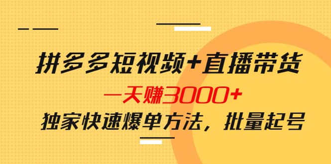 拼多多短视频+直播带货，一天赚3000+独家快速爆单方法，批量起号-飞鱼网创