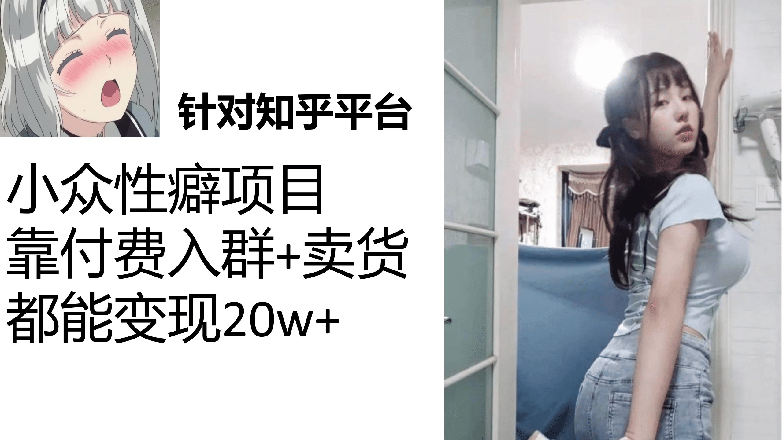 知乎小众性癖项目，Lsp的钱才是最好赚的，付费建群+卖货变现20w-飞鱼网创