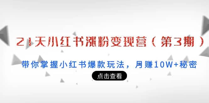 21天小红书涨粉变现营（第3期）：带你掌握小红书爆款玩法，月赚10W+秘密-飞鱼网创