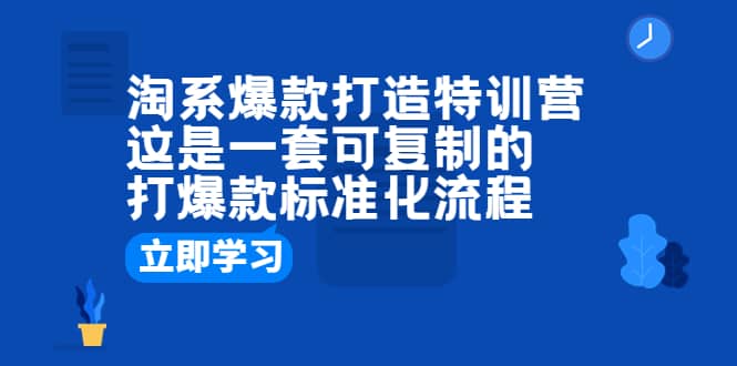 淘系爆款打造特训营：这是一套可复制的打爆款标准化流程-飞鱼网创