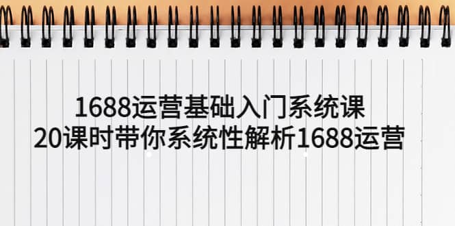 1688运营基础入门系统课，20课时带你系统性解析1688运营-飞鱼网创