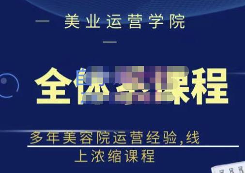 网红美容院全套营销落地课程，多年美容院运营经验，线上浓缩课程-飞鱼网创