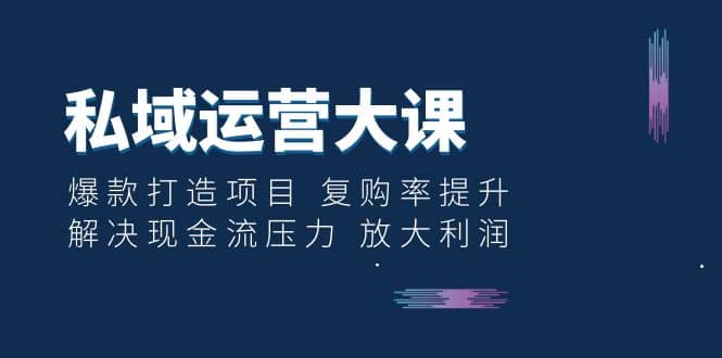 私域运营大课：爆款打造项目 复购率提升 解决现金流压力 放大利润-飞鱼网创