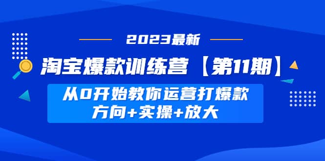 淘宝爆款训练营【第11期】 从0开始教你运营打爆款，方向+实操+放大-飞鱼网创