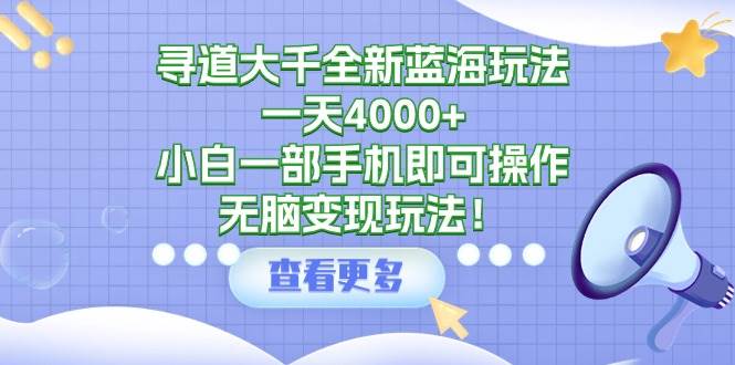 寻道大千全新蓝海玩法，一天4000+，小白一部手机即可操作，无脑变现玩法！-飞鱼网创