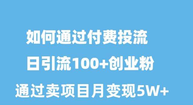 如何通过付费投流日引流100+创业粉月变现5W+-飞鱼网创