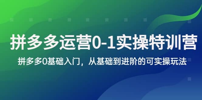 拼多多-运营0-1实操训练营，拼多多0基础入门，从基础到进阶的可实操玩法-飞鱼网创