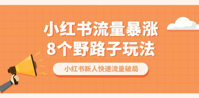 小红书流量-暴涨8个野路子玩法：小红书新人快速流量破局（8节课）-飞鱼网创