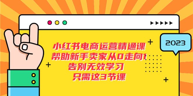 小红书电商·运营精通课，帮助新手卖家从0走向1 告别无效学习（7节视频课）-飞鱼网创