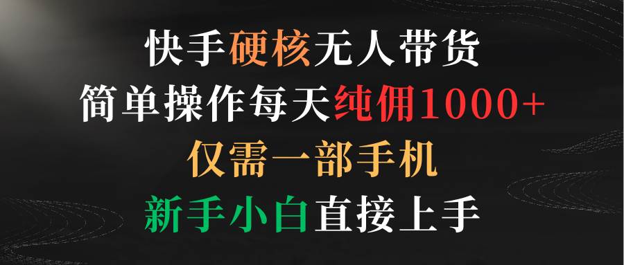 快手硬核无人带货，简单操作每天纯佣1000+,仅需一部手机，新手小白直接上手-飞鱼网创