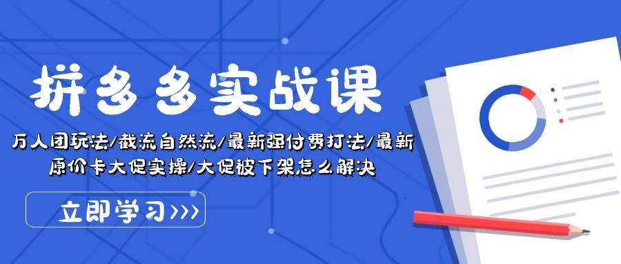 拼多多·实战课：万人团玩法/截流自然流/最新强付费打法/最新原价卡大促..-飞鱼网创