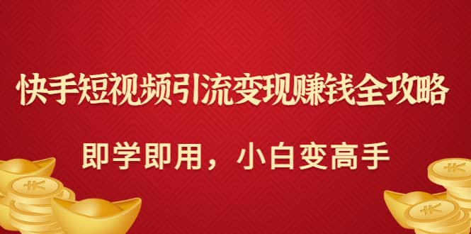 快手短视频引流变现赚钱全攻略：即学即用，小白变高手（价值980元）-飞鱼网创