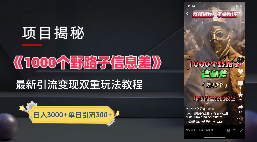 一千个野路子信息差24年最新玩法教程附带变现方法和引流的玩法具体拆解-飞鱼网创