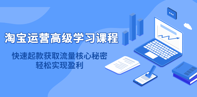 淘宝运营高级学习课程：快速获取流量核心秘密，轻松实现盈利！-飞鱼网创