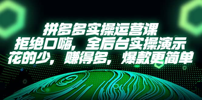 拼多多实操运营课：拒绝口嗨，全后台实操演示，花的少，赚得多，爆款更简单-飞鱼网创