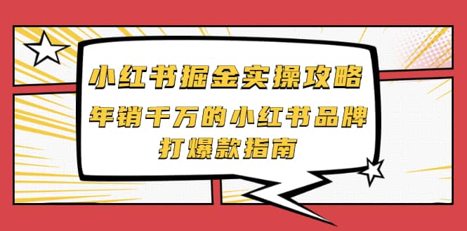 小红书掘金实操攻略，年销千万的小红书品牌打爆款指南-飞鱼网创