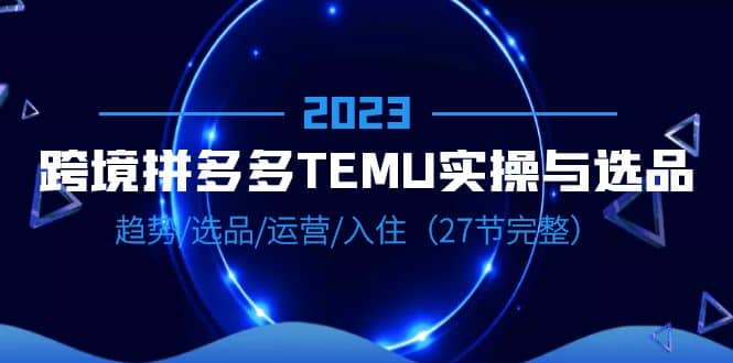 2023跨境·拼多多·TEMU实操与选品，趋势·选品·运营·入住（27节完整）-飞鱼网创