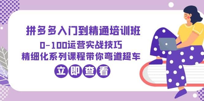 2023拼多多入门到精通培训班：0-100运营实战技巧 精细化系列课带你弯道超车-飞鱼网创