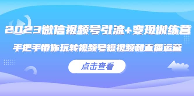 2023微信视频号引流+变现训练营：手把手带你玩转视频号短视频和直播运营-飞鱼网创