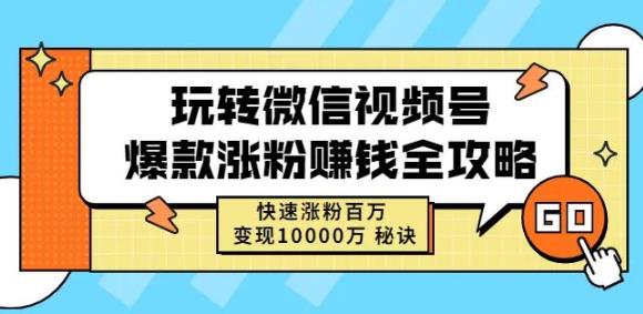 玩转微信视频号爆款涨粉赚钱全攻略，快速涨粉百万变现万元秘诀-飞鱼网创