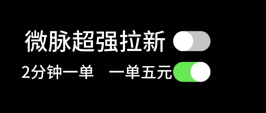 微脉超强拉新， 两分钟1单， 一单利润5块，适合小白-飞鱼网创