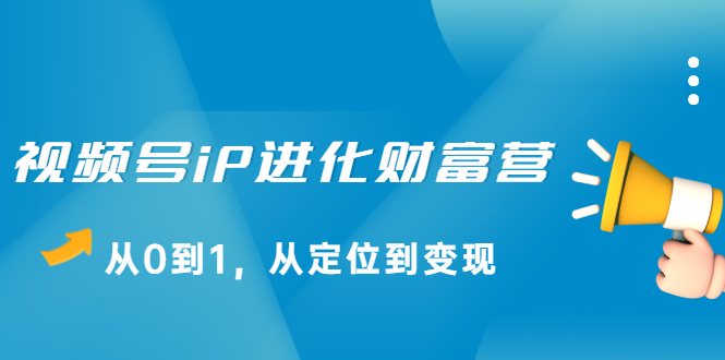 视频号iP进化财富营第1期，21天从0到1，从定位到变现-飞鱼网创