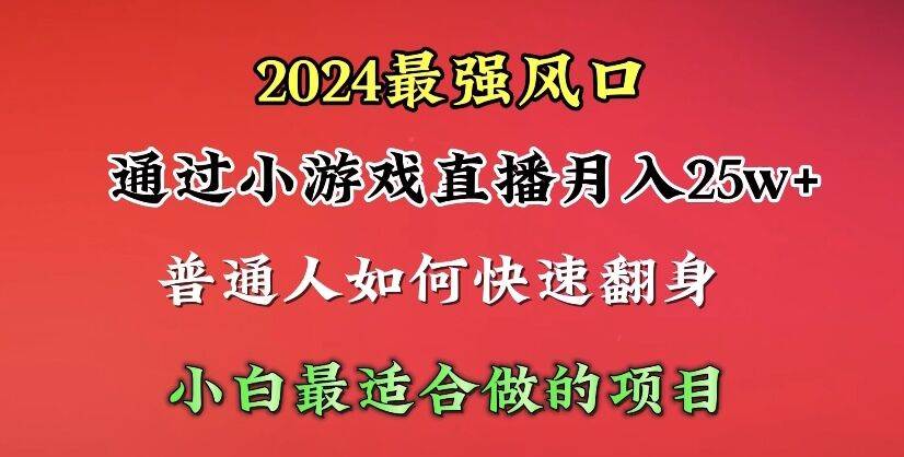 2024年最强风口，通过小游戏直播月入25w+单日收益5000+小白最适合做的项目-飞鱼网创