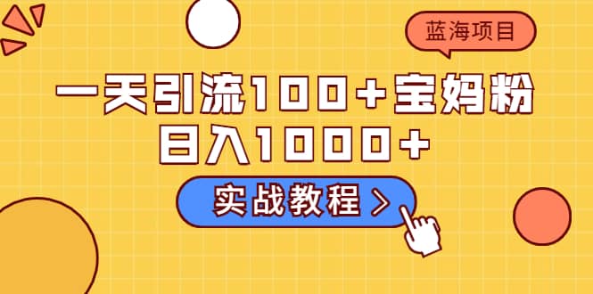 一天引流100+宝妈粉，日入1000+的蓝海项目（实战教程）-飞鱼网创