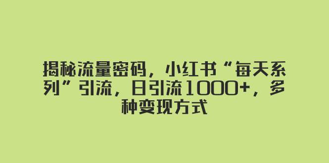 揭秘流量密码，小红书“每天系列”引流，日引流1000+，多种变现方式-飞鱼网创