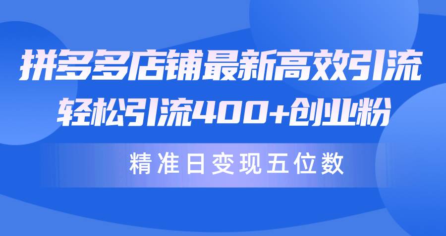 拼多多店铺最新高效引流术，轻松引流400+创业粉，精准日变现五位数！-飞鱼网创