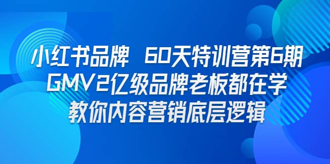 小红书品牌 60天特训营第6期 GMV2亿级品牌老板都在学 教你内容营销底层逻辑-飞鱼网创