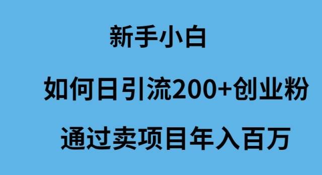 新手小白如何日引流200+创业粉通过卖项目年入百万-飞鱼网创