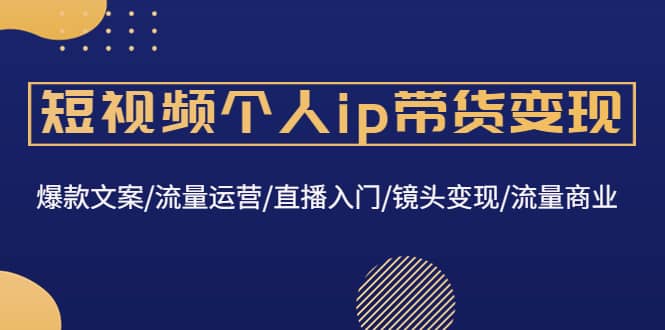 短视频个人ip带货变现：爆款文案/流量运营/直播入门/镜头变现/流量商业-飞鱼网创