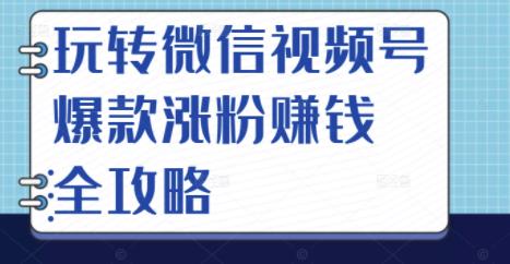 玩转微信视频号爆款涨粉赚钱全攻略，让你快速抓住流量风口，收获红利财富-飞鱼网创