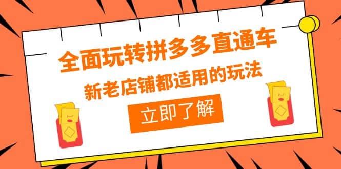 全面玩转拼多多直通车，新老店铺都适用的玩法（12节精华课）-飞鱼网创