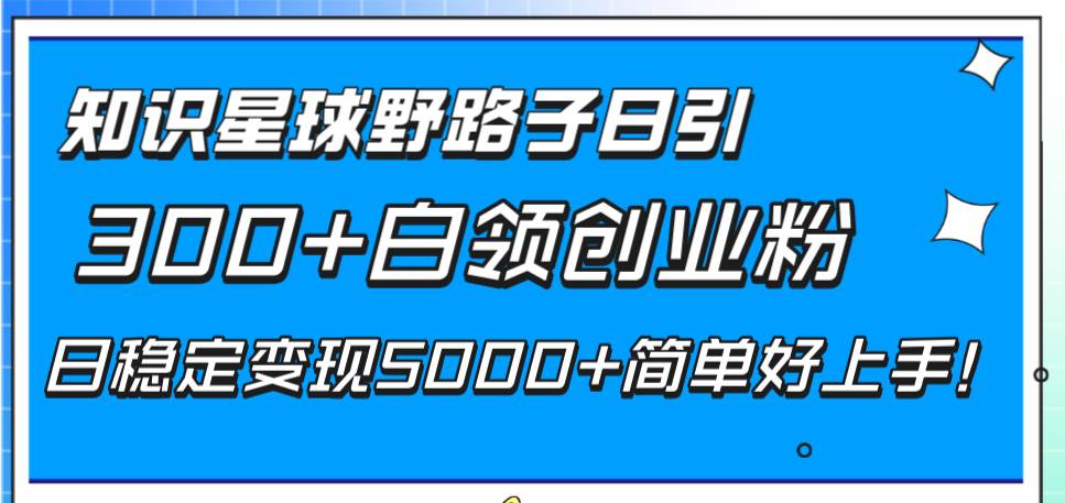 知识星球野路子日引300+白领创业粉，日稳定变现5000+简单好上手！-飞鱼网创