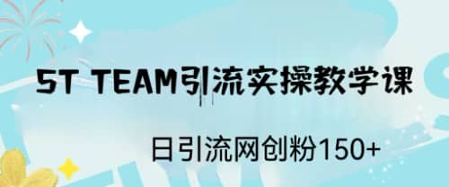 ST TEAM引流实操课，日引流网创粉100+-飞鱼网创