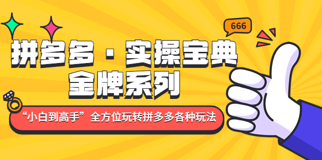 拼多多·实操宝典：金牌系列“小白到高手”带你全方位玩转拼多多各种玩法-飞鱼网创